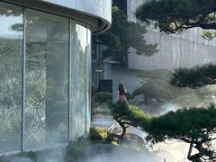 -罗红摄影艺术馆