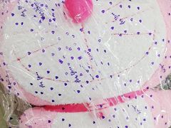 -PAWTOY爪e玩偶店(天兴罗斯福店)