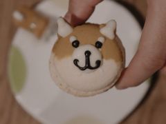 -柴务处·柴犬主题狗咖