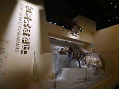 -国家自然博物馆