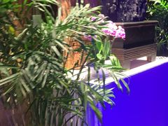 -观宴·品质赣菜(高新大道店)