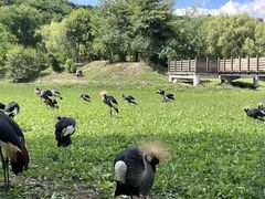 -哈尔滨北方森林动物园