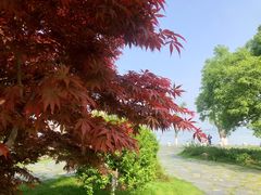 -东湖听涛景区