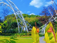 -上海共青森林公园