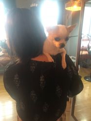 -椿树下·Tattoo纹身工作室