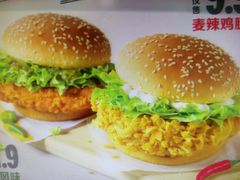 -麦当劳(红旗路店)