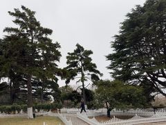 -信号山公园