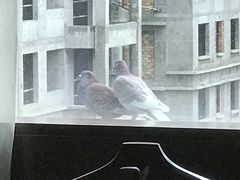 -西安赛瑞喜来登大酒店