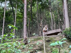 -黔灵山公园