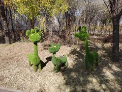 -北京鹿世界主题园