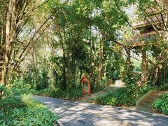 -西双版纳勐泐文化旅游区