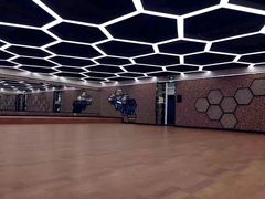 -金吉鸟健身游泳