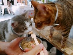 -小时光咖啡馆(开森度假森林店)