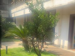 -柴米油盐(土菜院子店)