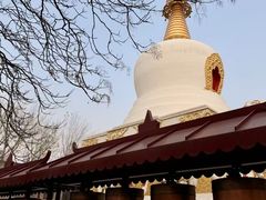 -护国法轮寺