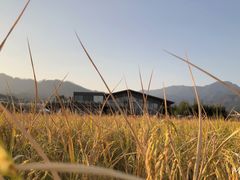 -禾悦庄餐厅