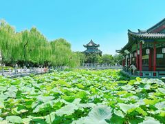 -济南大明湖景区