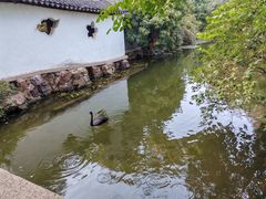 -水绘园