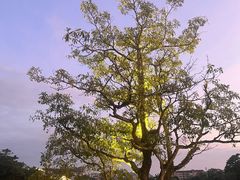 -广东温泉宾馆