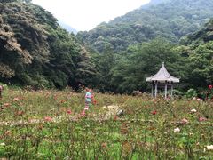 -广州市石门国家森林公园