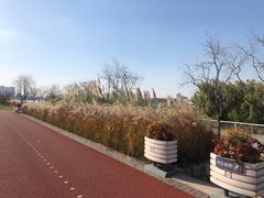 -上海山野camping·户外天幕烧烤·团建拓展营地