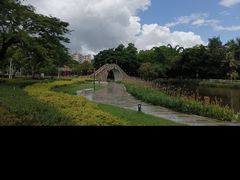 -金砂公园