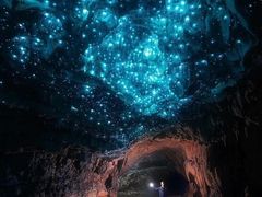 -怀托摩萤火虫洞