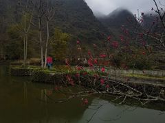 -靖西鹅泉风景区