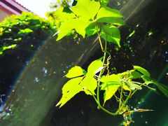 -陈熹公民族美食文化餐厅(中华广场店)