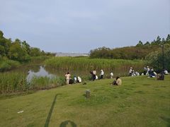 -吴淞炮台湾湿地森林公园烧烤区