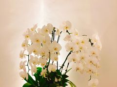 -光作面包Voila Lumiere(中山店)