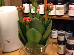 iphone_upload_pic-妃比花艺(光启城时尚购物中心店)
