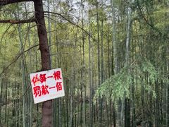 -石塘人家