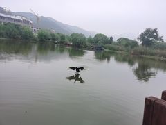 -长兴太湖图影湿地文化园