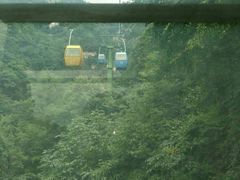 -王顺山国家森林公园