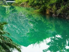 -水濂山森林公园