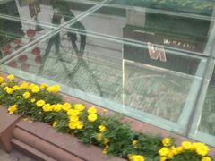 -北京路步行街-千年古道遗址