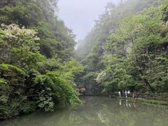 -溪口-滕头旅游景区