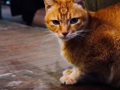 -默迹咖啡馆