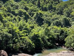 -广州白江湖森林公园