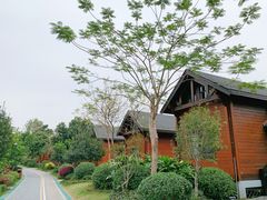 -美的鹭湖森林度假区