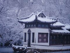 -扬州大运河文化旅游度假区·盆景园