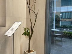 -M Stand(南京新街口金鹰店)
