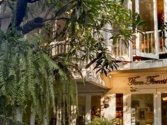 -Fern Forest Cafe