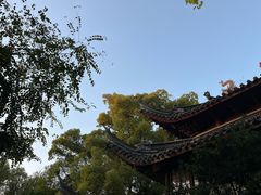 -天一阁博物院