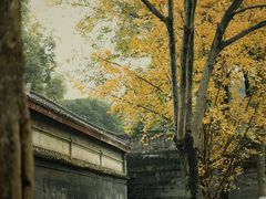 -安仁古镇