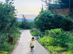 -杭州开元森泊度假乐园