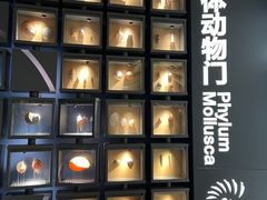 -中国湿地博物馆