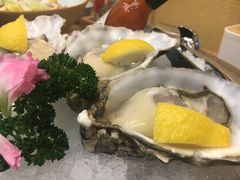 -一本钓鲔鱼屋