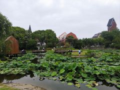 -美兰湖景区